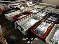 준원도권 텐빈텐야!3지4지!오늘 자리여유~예약가능합니다