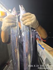 뉴새바다호 14석 갈치 3지 4지 오늘 예약됩니다