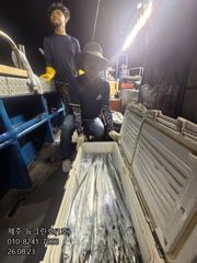 [[제주 뉴그린호(1호) 8월 23일 야간갈치 조황]]