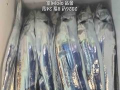 아이비호/오늘 자리텅텅!!대갈치공략!!쿨러만땅~먼바다나들이!!쿨러가득채우러!!월화수 쭉 자리텅텅 예약가능