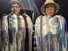 [제주은갈치호]8월23일 제주앞바다 왕갈치조황입니다!