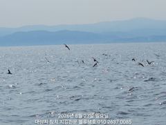 [경주] 캐스팅 게임 대삼치들 입질상황!