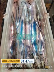 [[대림낚시바다호 ]] 왕갈치 조황 좋아요~~내일 예약가능