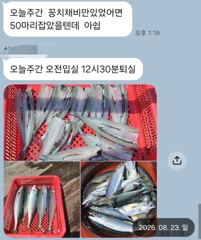 [마산] 마산 원전 선상낚시터 일요일 주간 조황