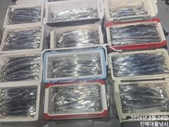 우와~24일새벽,내만칼치3지급까지 어마어마 쿨러넘쳐넘쳐 대박,화,수,목욜예약가능