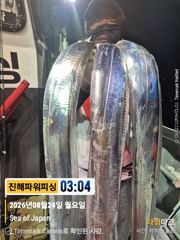 [갈치/텐빈/텐야]24일입항~오늘은요만큼[화.수.목.금]예약가능