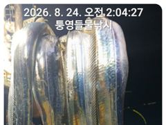 14석 보성3호 오늘은 씨알좋은 대치들로 쿨러가득 했습니다~~`내일부터 계속 자리여유)