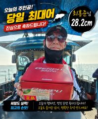 조황정보 - 8월 23일 홍원항 뉴아일랜드호 백조기 [이벤트] 백조기 잡고 상품 받고! 기분 좋은 조황 - 홍원항 뉴아일랜드호 선상낚시 ,생활낚시 , 바다낚시 , 전문출조