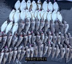 << 팀 인천 루키나 >> 08. 24. 3물 << 루키나 V 생새우 외수질 다잡아 이벤트 >>