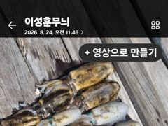 [고성] 신동화레져) 8월24일 조황입니다