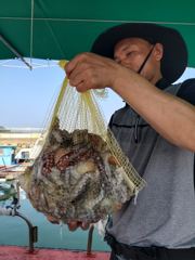 [사천] 삼천포 물새호