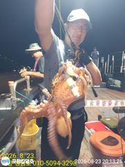 [포항] 8-24(실시간)돌문어~~화.수.목 5시 운동장