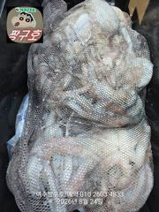 여수 짱구호 8월24일(월) 문어(총167수)조황 및 출조모집