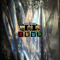 08.24 제주 백야호 한치 갈치 조황