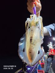 [통영] 팁런 낚시도즐기고 이벤트당첨 노려보자~~