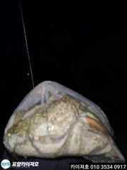돌 문어 오늘 17시 여유자리