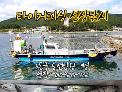 구산면 타이거 칼치