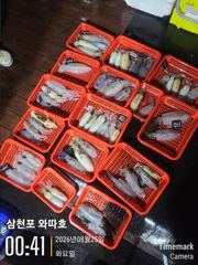 어제 월요일 팁런 조황입니다