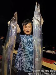 [완도 청산호] 26.08.24 씨알 좋은 최대 6지까지. 갈치 조황 입니다. 찾아주신 조사님들 감사합니다.