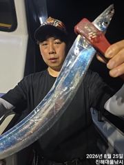 [진해] 와~25일새벽,내만칼치 3지까지 엄청나 루어에 퍼담고 오늘예약가…