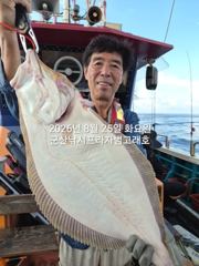 8/25, 연일 굿굿~생미끼~날마다 대박~대광어"마릿수 굿굿"~실시간 조황~"생미끼-8월 평일, 선비 빅이벤트(선비8만)"~~ 군산 범고래호