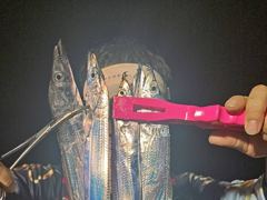 [진해] 내만갈치 버글 버글~~~~예약가능