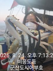 8.24 도시어부호 야간 꽃게 대박 조황