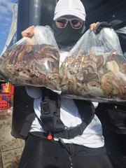 녹동항 흑룡호 돌문어 381마리 조황 사진