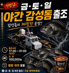 가을찾으러주.야간감성돔출조합니다