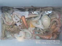"돌문어" 키로외 덩치들 133수이상~ 17수15수14수13수13수등 전원마릿수 손맛 조황~