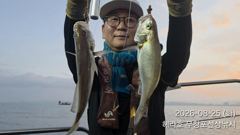 조황정보 - 8/25 백조기 조황 - 무창포선상낚시