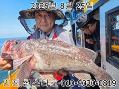 26년 8월 25일!! 인천 썬스타호!! 우럭 조황입니다~^.^