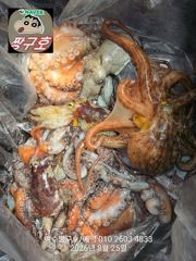 여수 짱구호 8월25일(화) 문어(총100여수)조황