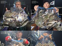 <발키리호> 야간 꽃게 마무리 굿 조황(25~26일)-금일 야간 꽃게 자리있습니다.