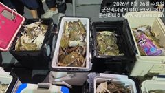 ▼▼리더호 야간꽃게낚시 대박조황/자리여유