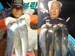 (통영명륜호7호)대갈치 씨알~굿굿 손맛~짱 쿨러구경 (오늘자리여유)