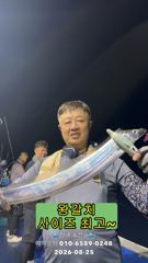 "준내만 갈치" 싸이즈 미쳤고~ 마릿수 최고~!(예약가능합니다)