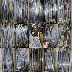 갈치! 텐빈 텐야 메탈~때려박는곳으로~!
