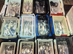 25일,준내만 텐빈조황, 3지,4지;왕갈치 잡으러.내일출항(목~예약가능)