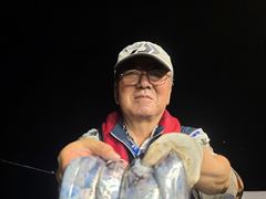 [진해] 아폴로소수인원출발와우4/5지굵은넘들로쿨러 쾈채우고철수/28일부터…