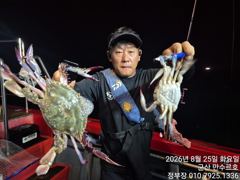 ★★만수르호★★ 꽃게 야간 쿨러조황!!(8/25)