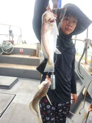8/26일 백조기 ~초대박 조황