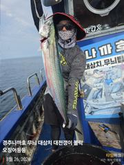 오후 대삼치 실시간 조황
