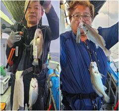 8월25일 개우럭 + 왕사이즈 백조기로 만쿨조황. 잘~올라옵니다.~^^[시즌마지막 출조 일요일 여유자리있어요~.]
