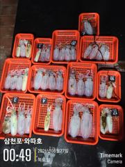 어제 수요일 팁런 조황입니다