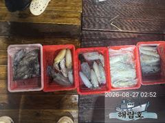 8월26일 무늬오징어 팁런조황입니다.