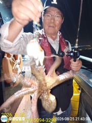 포항 돌문어 슬슬올라 옵니다.목.금.토 예약중