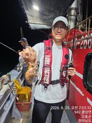 녹동문어새벽출조00시