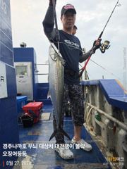 오전 실시간 대삼치 한마리 7.8kg  헤비급 히트하면 감당이 안됩니다 ㅎ