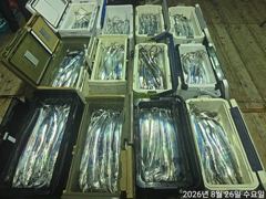 준내만갈치4지급씨알굿~쿨러만당손맛입맛굿~굿
